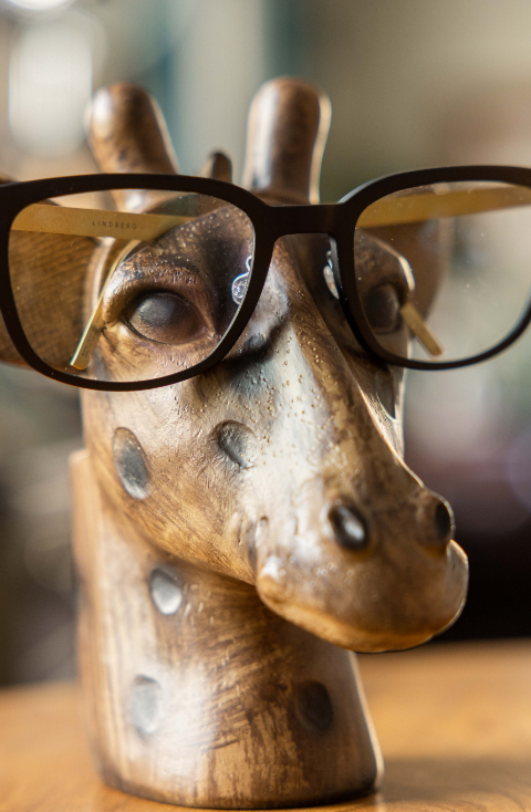 glasses on a Giraffe